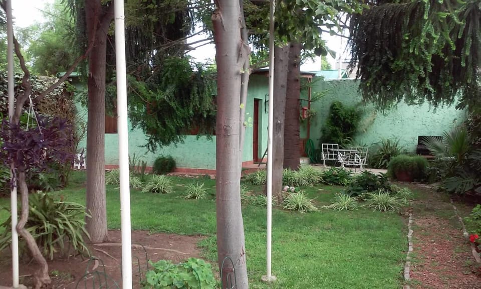 Garden, Garden view