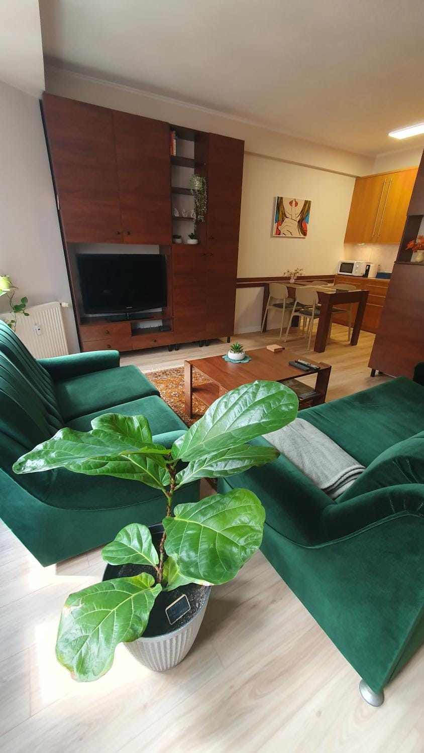 Elma centrum Wrocławia Apartment in Wroclaw