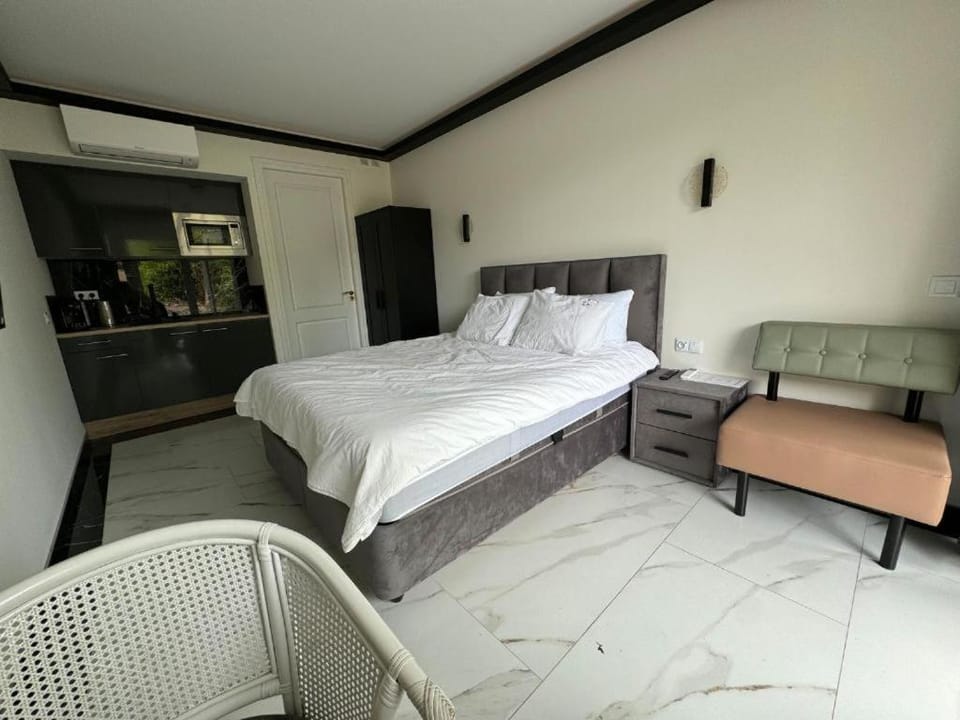 Bed, Kitchen or kitchenette, Living room, Photo of the whole room, Seating area, Bedroom