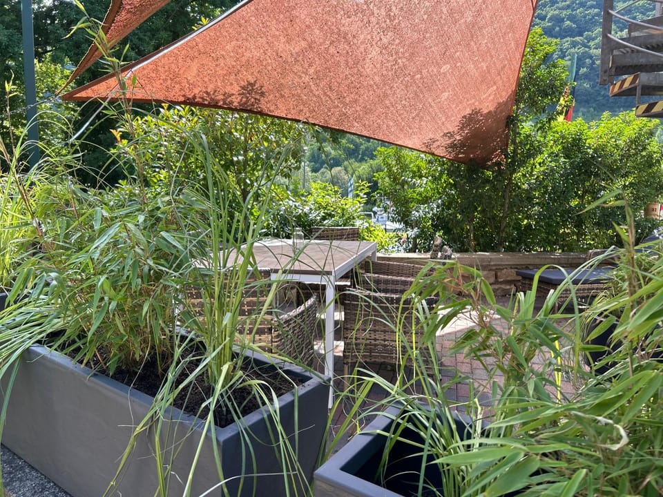 Ferienwohnung Hafenblick Apartment in Rhineland-Palatinate