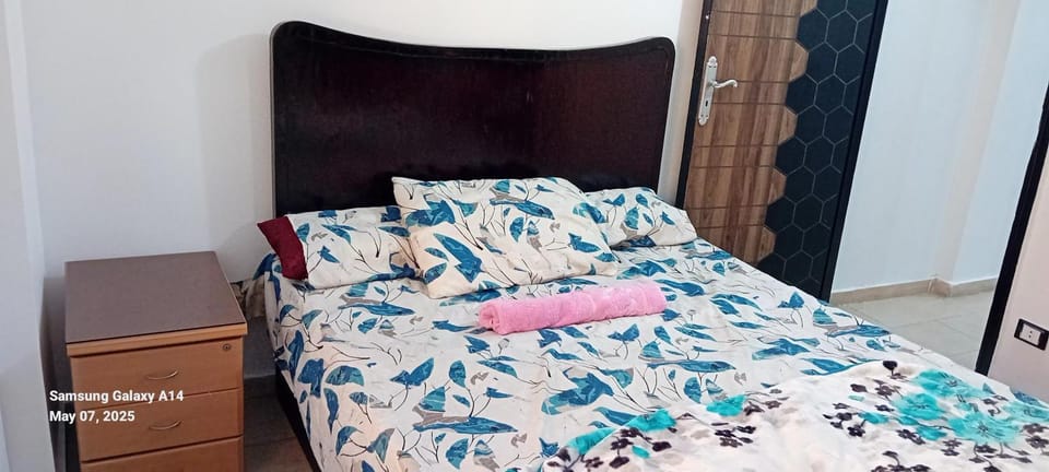 Apartment For Rent In Miami,Alexandria Apartment in Alexandria