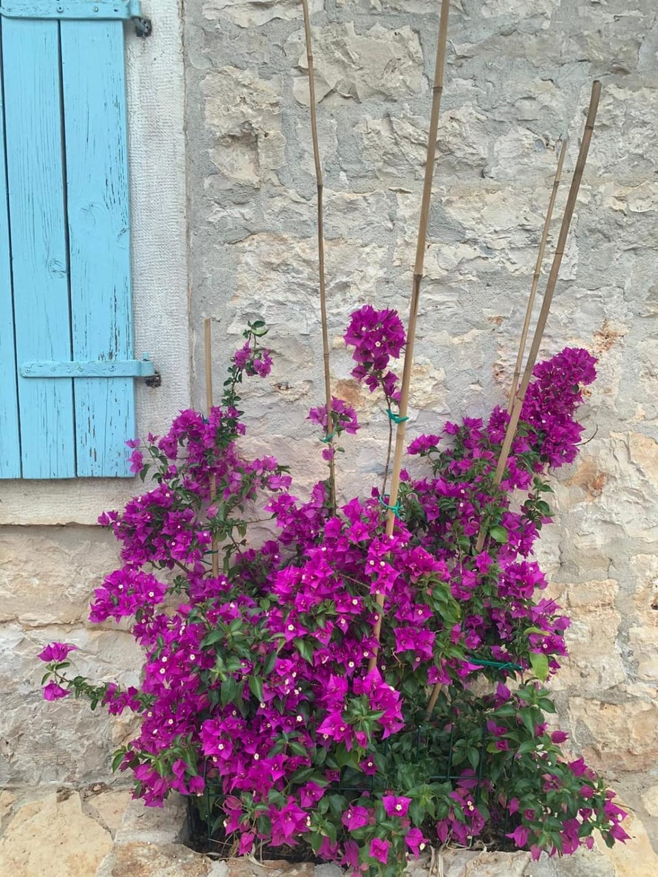 Spring