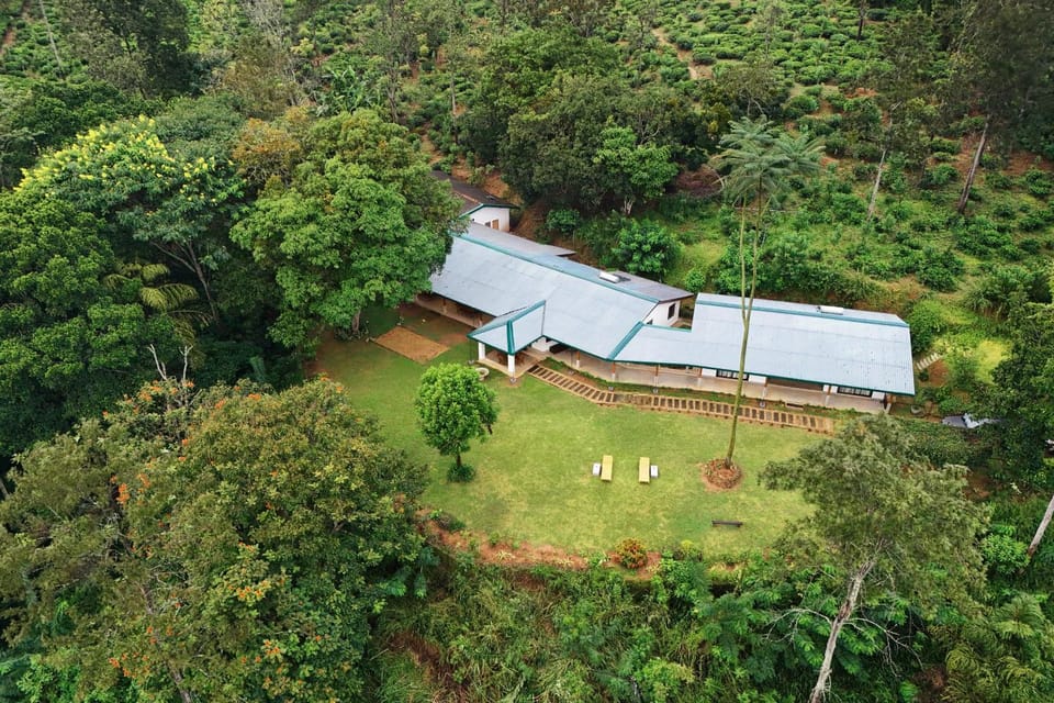 Property building, Bird's eye view, Garden