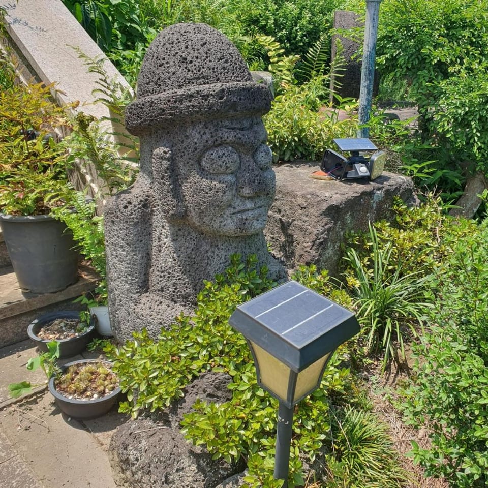 Garden, Garden view