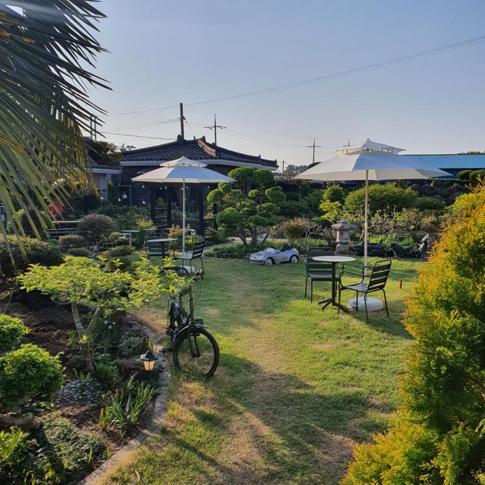 Spring, Natural landscape, Garden, Garden, Garden view