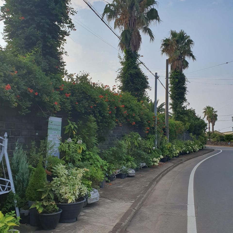 Neighbourhood