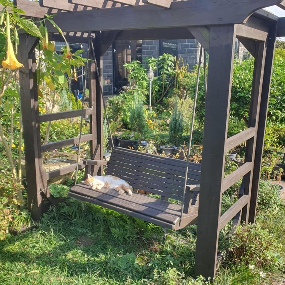 Garden, Garden, Garden view