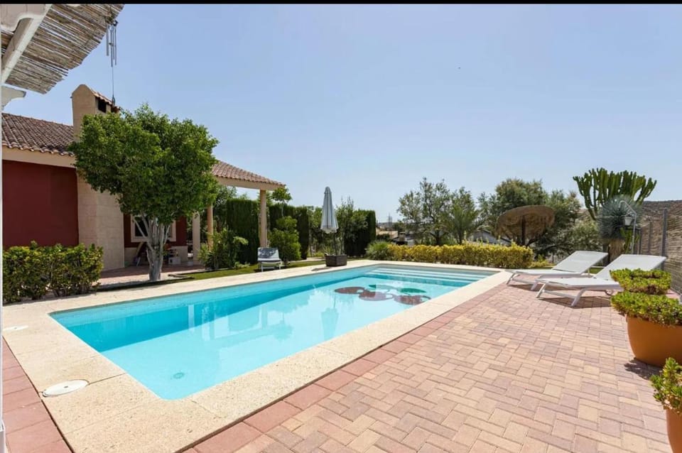 Garden, Pool view, Swimming pool
