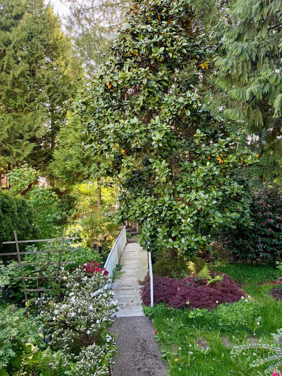 City Center Suite Apartment in North Vancouver