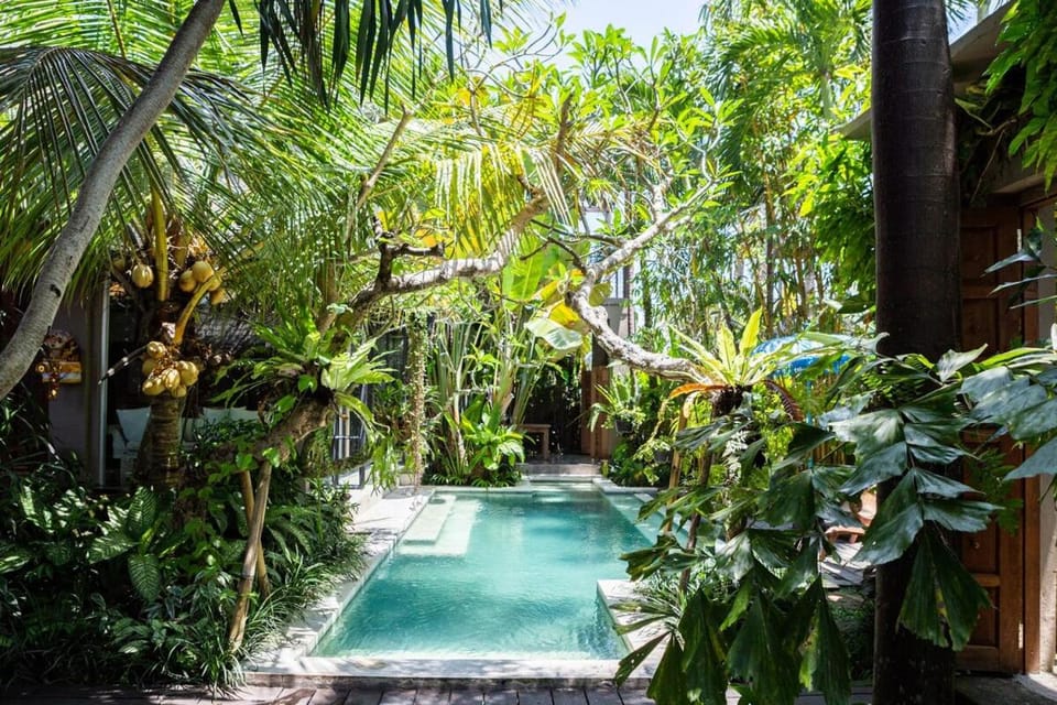 Garden, Swimming pool