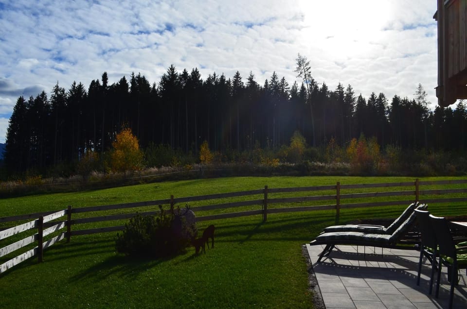 Garden view
