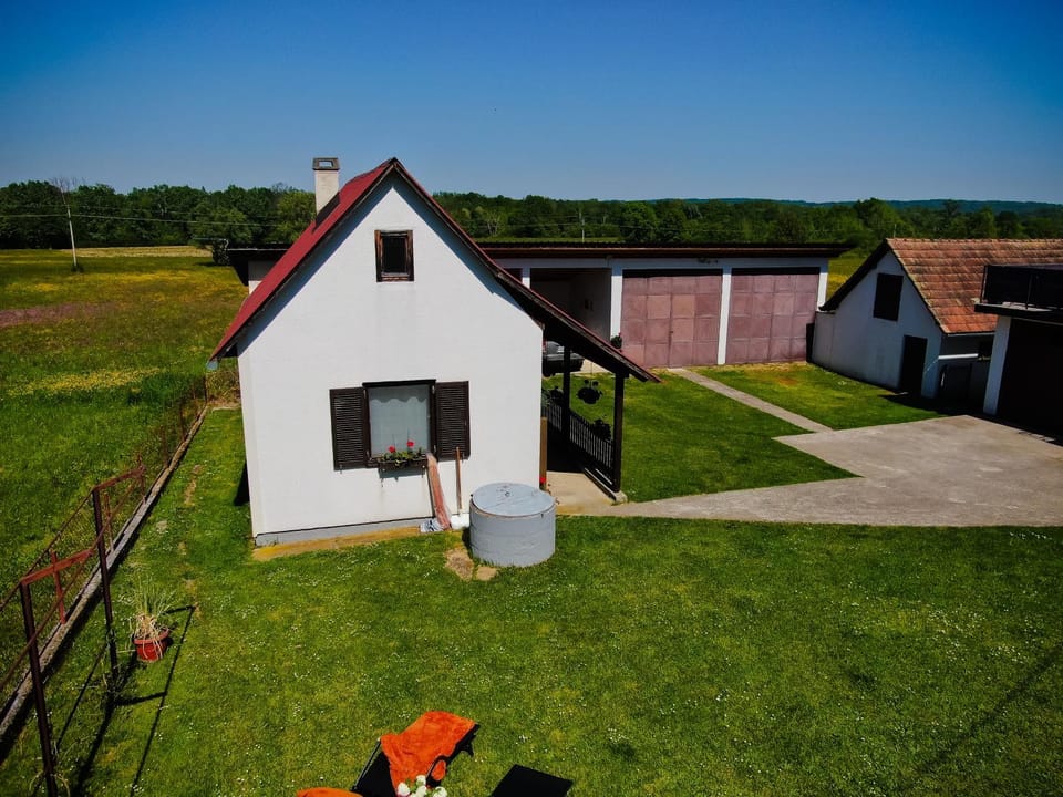 Property building, Spring, Day, Garden