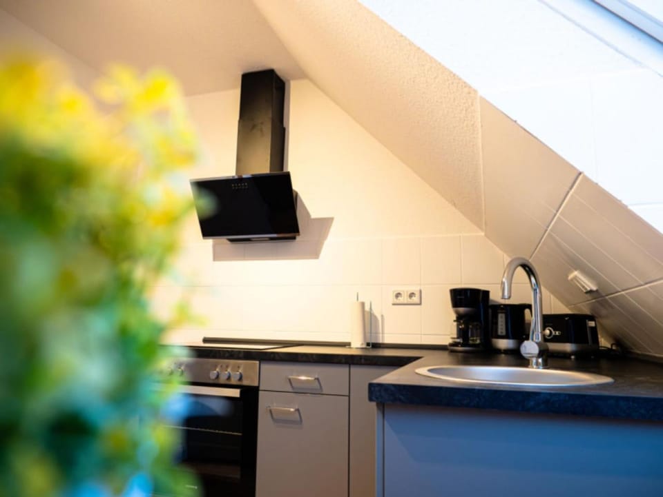 Coffee/tea facilities, Kitchen or kitchenette, pet friendly, stove, toaster