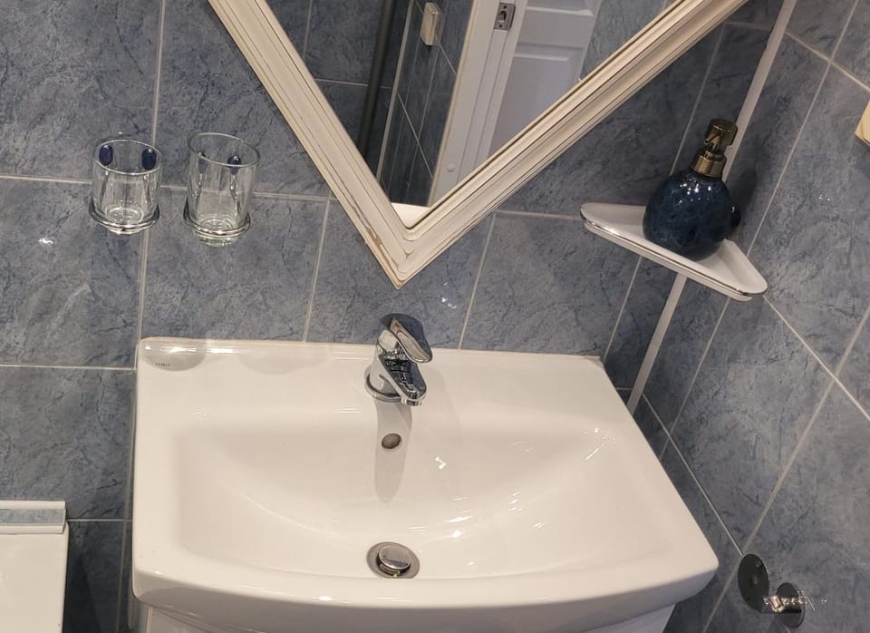 Vintažys studeja Apartment in Latvia