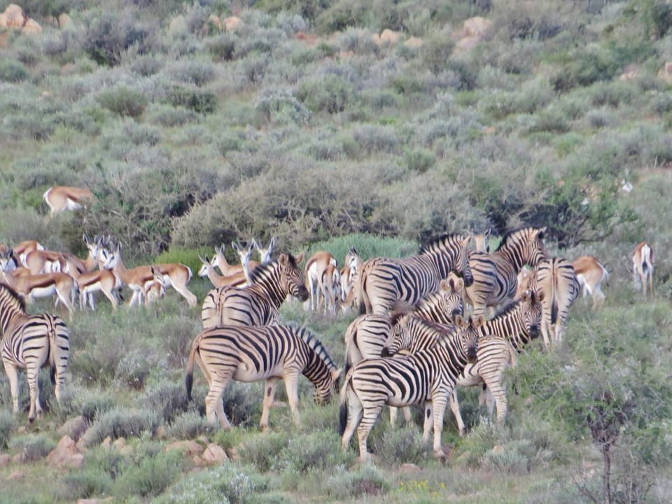 Swartfontein Game and Adventure Lodge Nature lodge in Khomas Region, Namibia