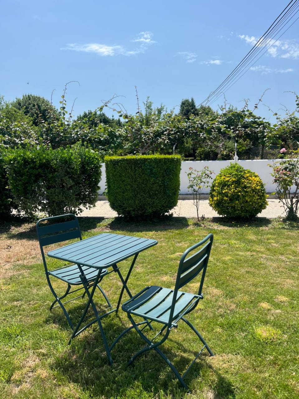 Spring, Day, Natural landscape, Garden, Garden view