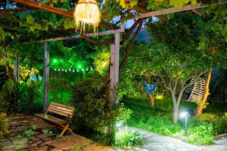 Night, Garden, Garden view