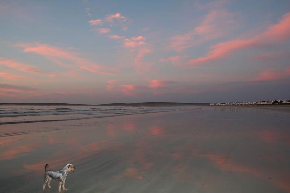 Natural landscape, Beach, Sunset