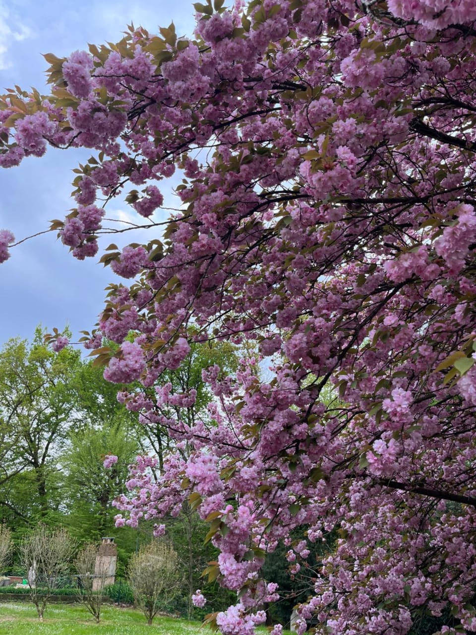 Appartamento in Villa a Triuggio - Monza Brianza Apartment in Province of Lecco