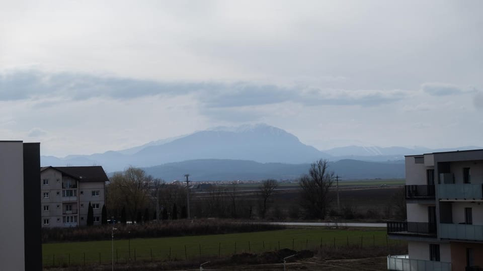 View (from property/room)