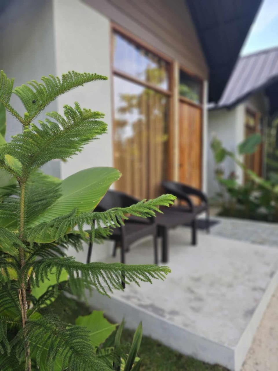 Garden view