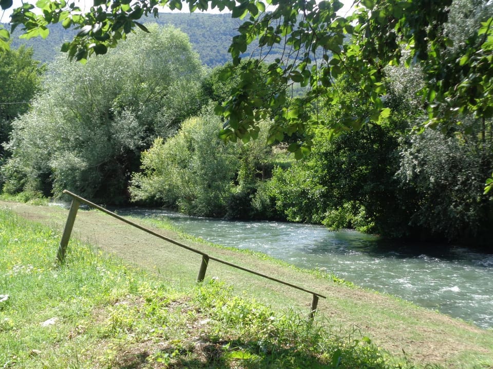 Communal lounge/ TV room, People, Property logo or sign, BBQ facilities, Children play ground, Food and drinks, Logo/Certificate/Sign, Pets, Entertainment, Drinks, Alcoholic drinks, Non alcoholic drinks, Family