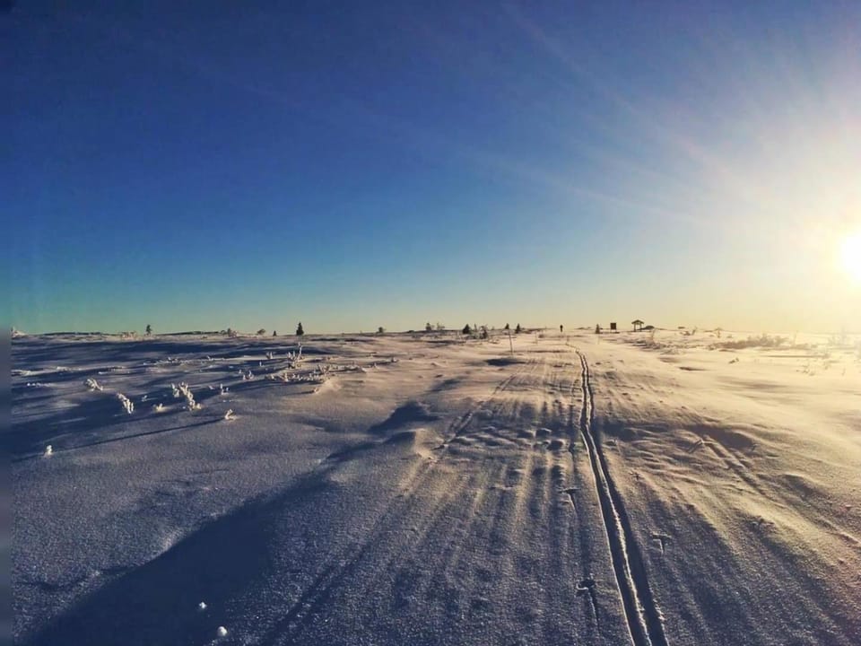 Day, Natural landscape, Winter, Sunrise