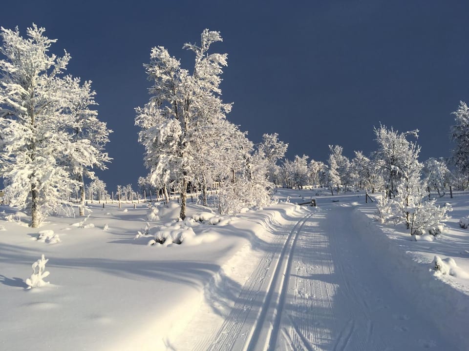 Day, Natural landscape, Winter