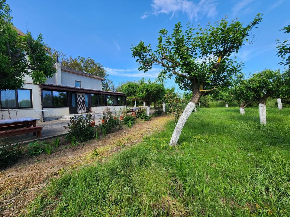 Property building, Spring, Day, Natural landscape, Garden, Garden view