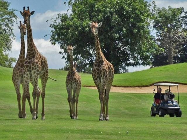 Zebula 1 Pela Lodge, 4-bedroom house Villa in North West, South Africa