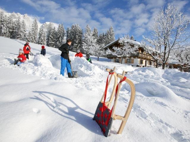 Day, Winter, group of guests