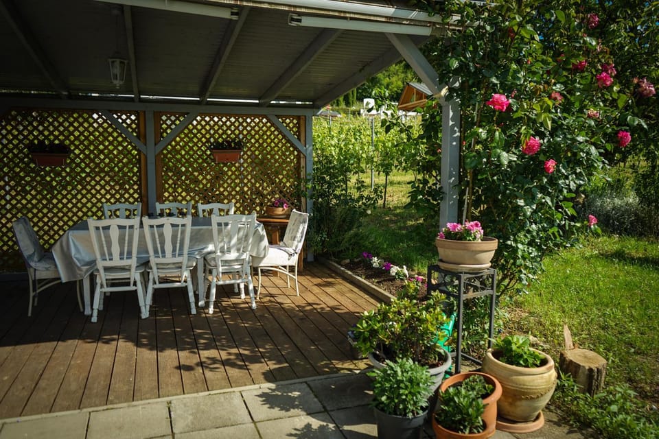 Pinot Gris House House in Hungary
