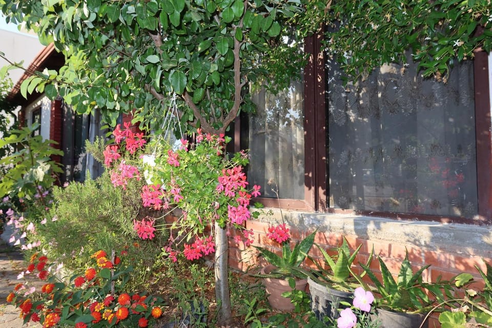 LM Murati Apartments Bed and Breakfast in Tirana County, Albania