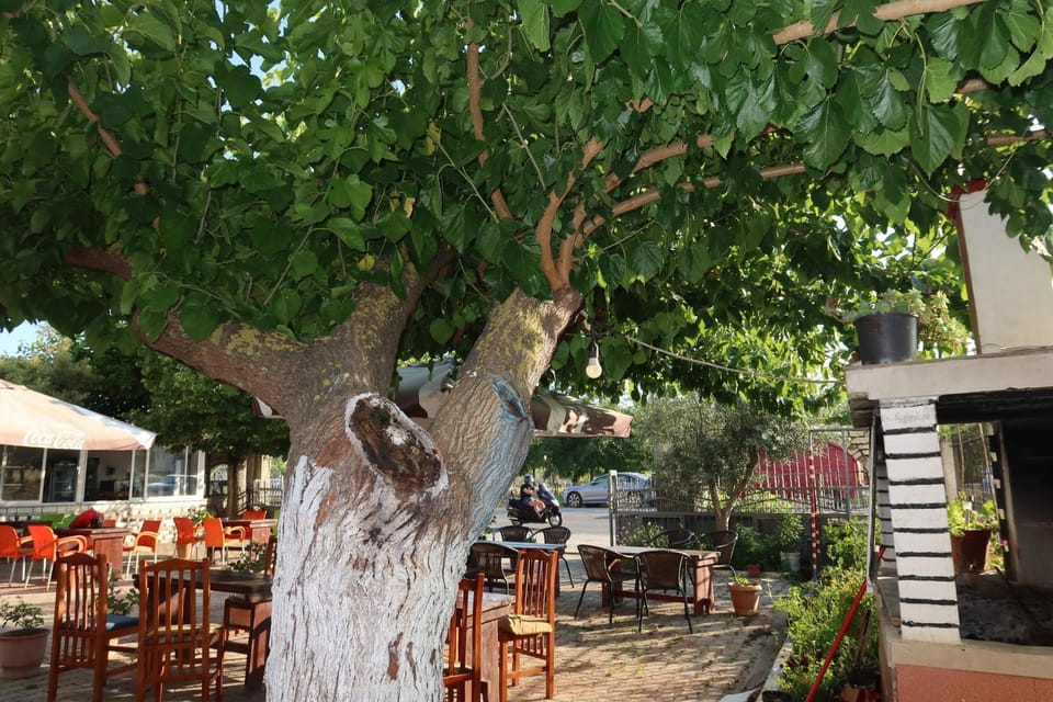LM Murati Apartments Bed and Breakfast in Tirana County, Albania