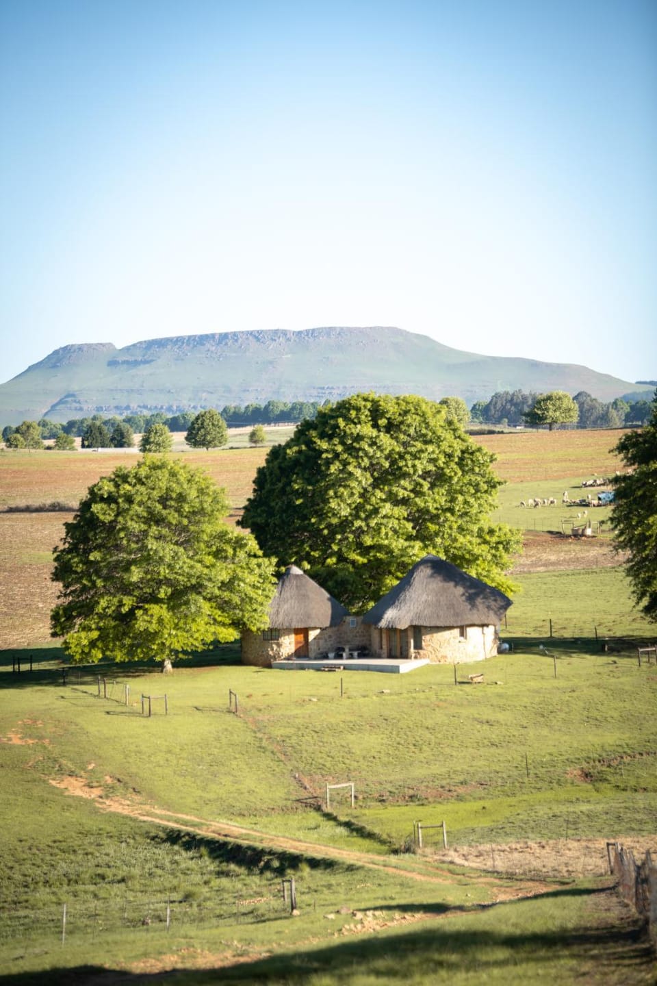 Blackbrook Farm Underberg Country House in KwaZulu-Natal