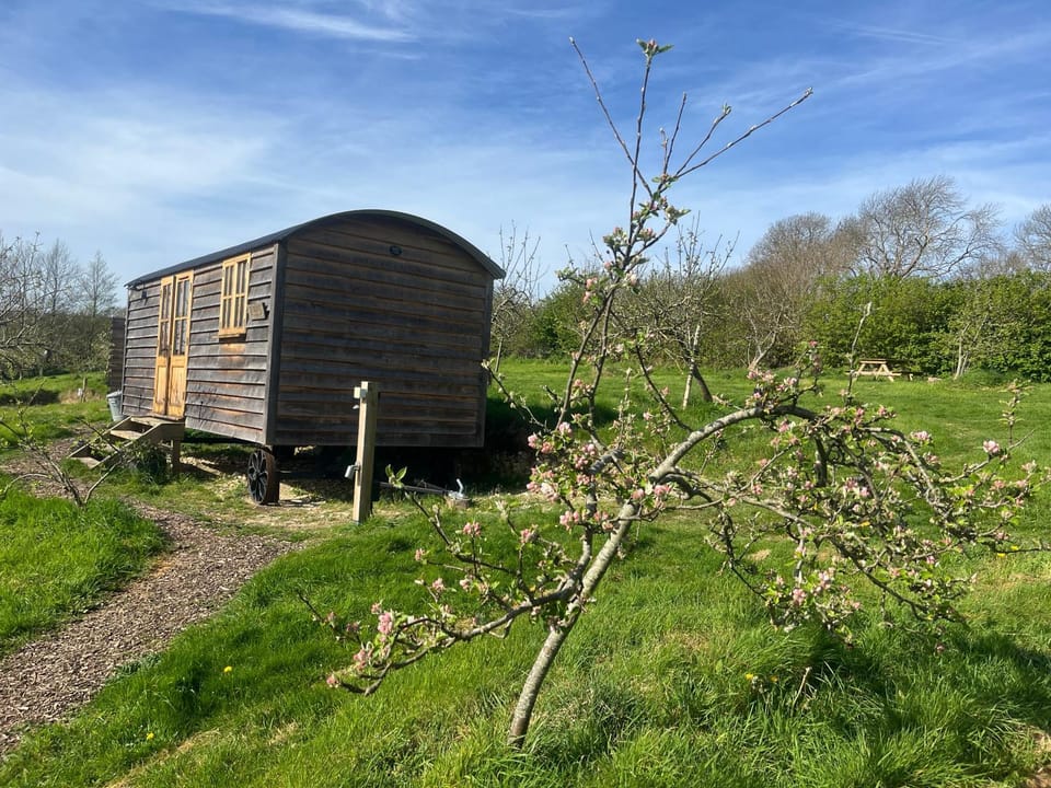 Property building, Natural landscape