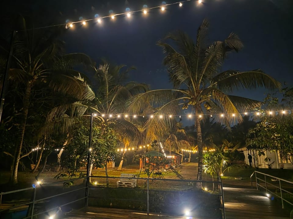 Night, Garden, Garden view