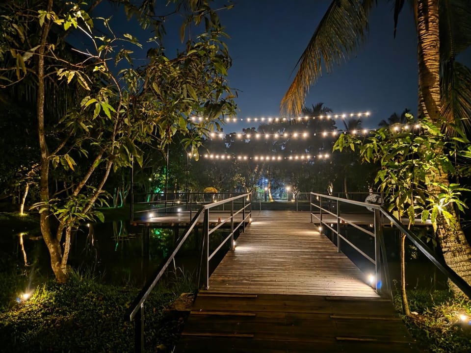 Night, Garden view