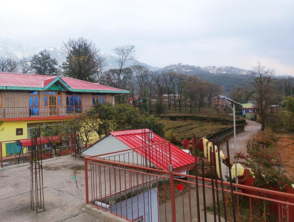Property building, Natural landscape