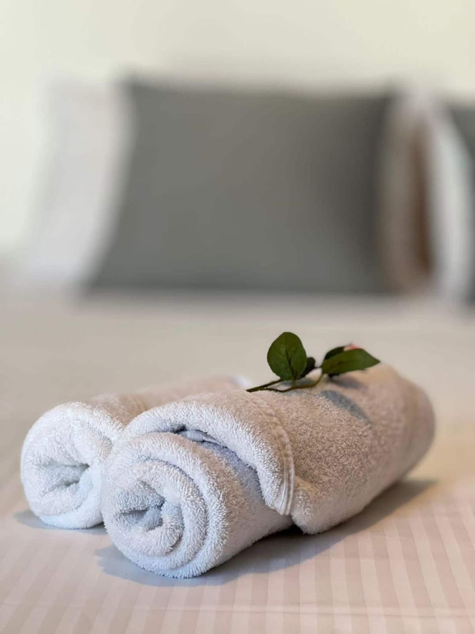 Bed, Bedroom, towels