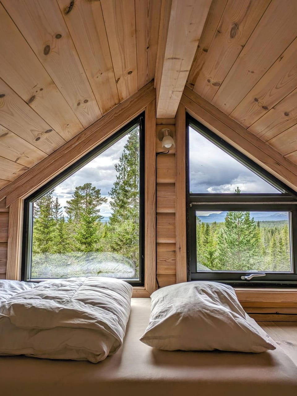Bed, Natural landscape, Photo of the whole room, Bedroom