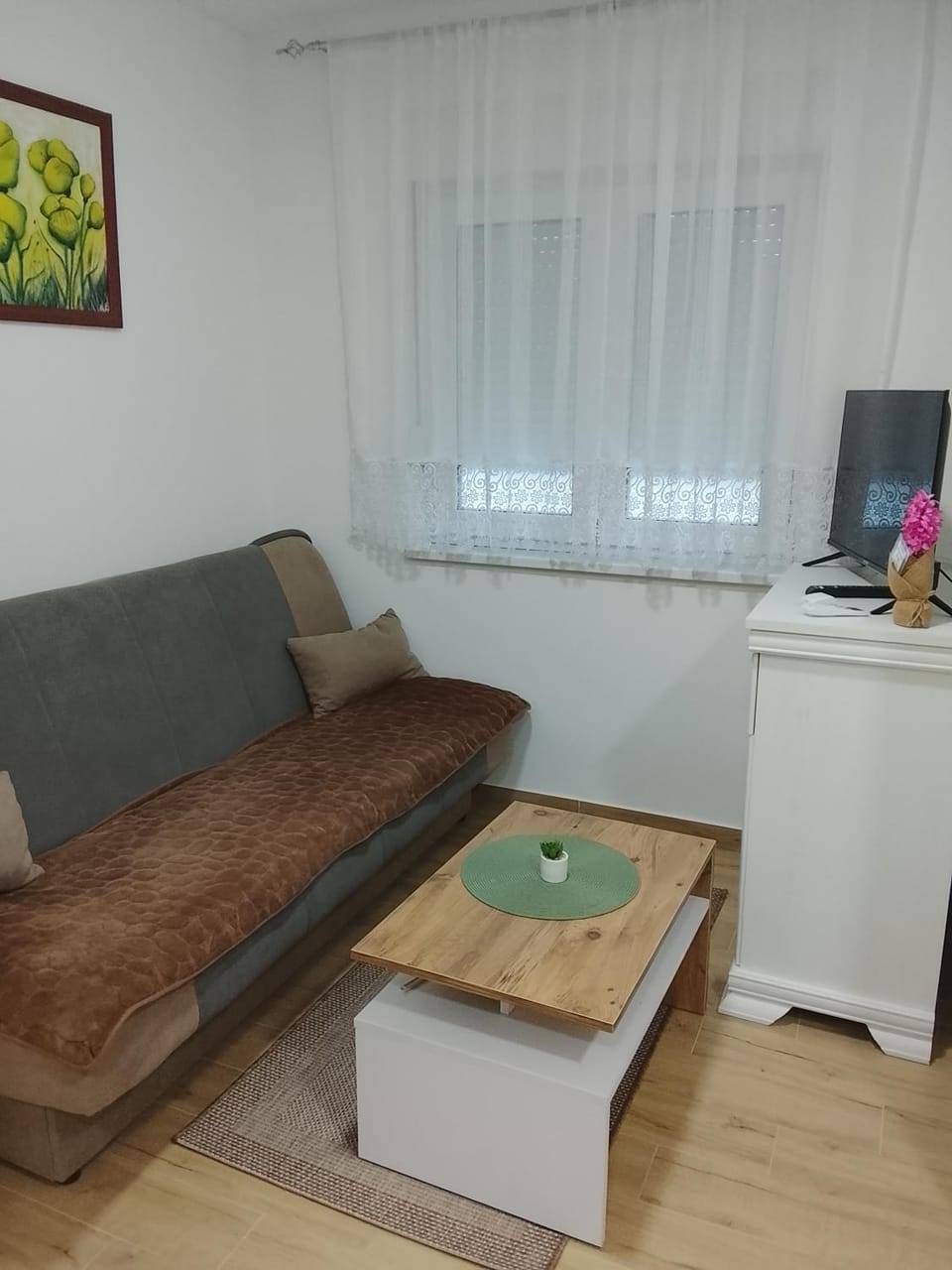 Apartman Višnja Apartment in Serbia