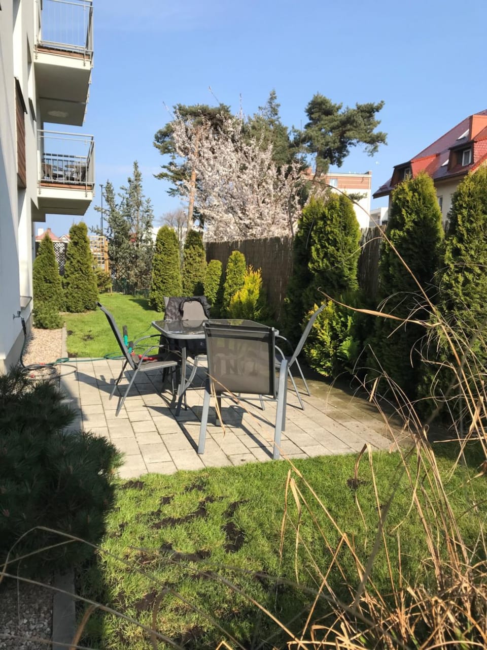Spring