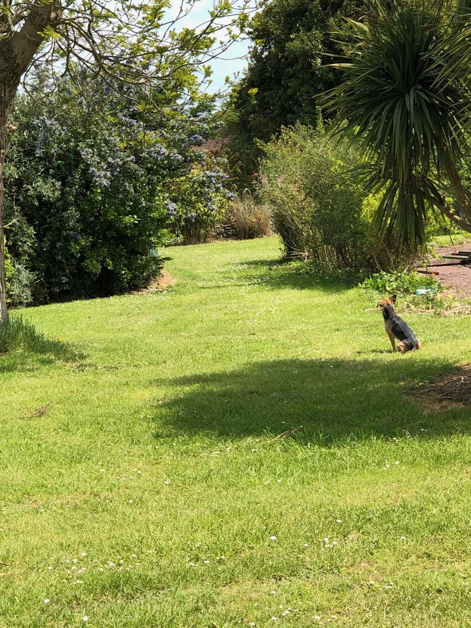 Natural landscape, Garden, Garden
