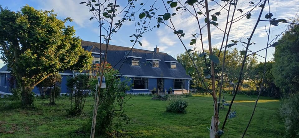 The Coast House Bed and Breakfast in Ireland