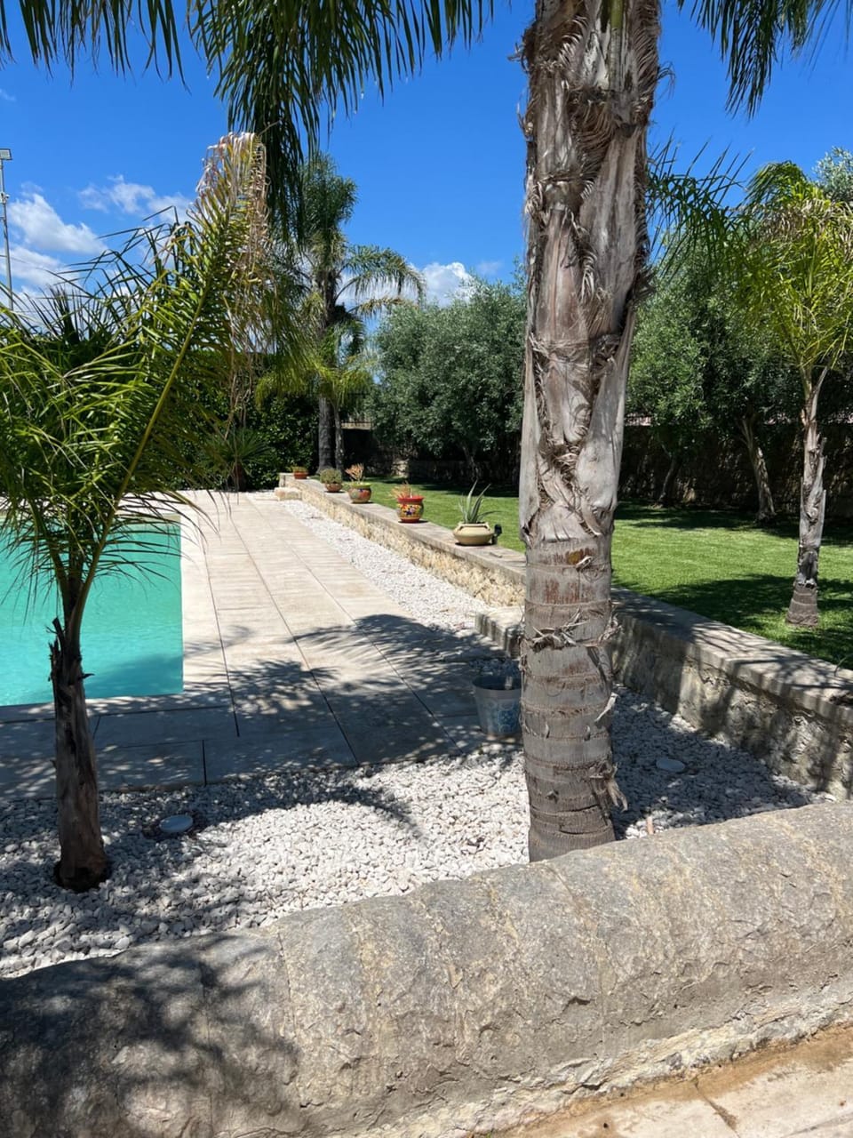 Spring, Day, Natural landscape, Garden, Garden view, Pool view, Swimming pool