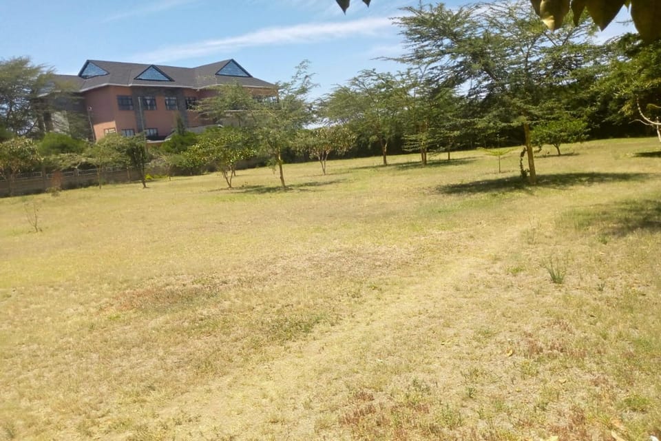 Natural landscape, Garden, On site, Garden view
