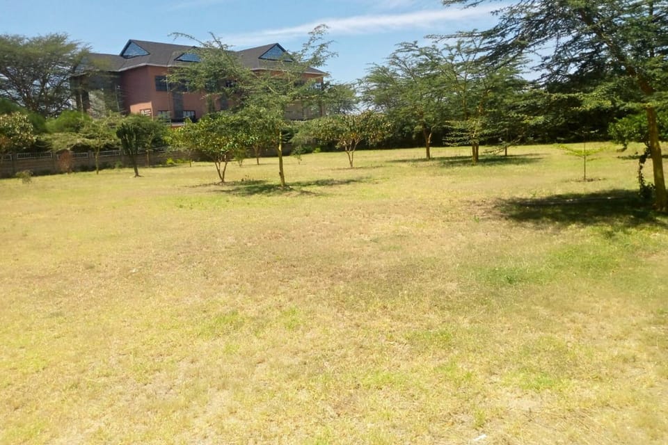 Natural landscape, Garden, Garden view