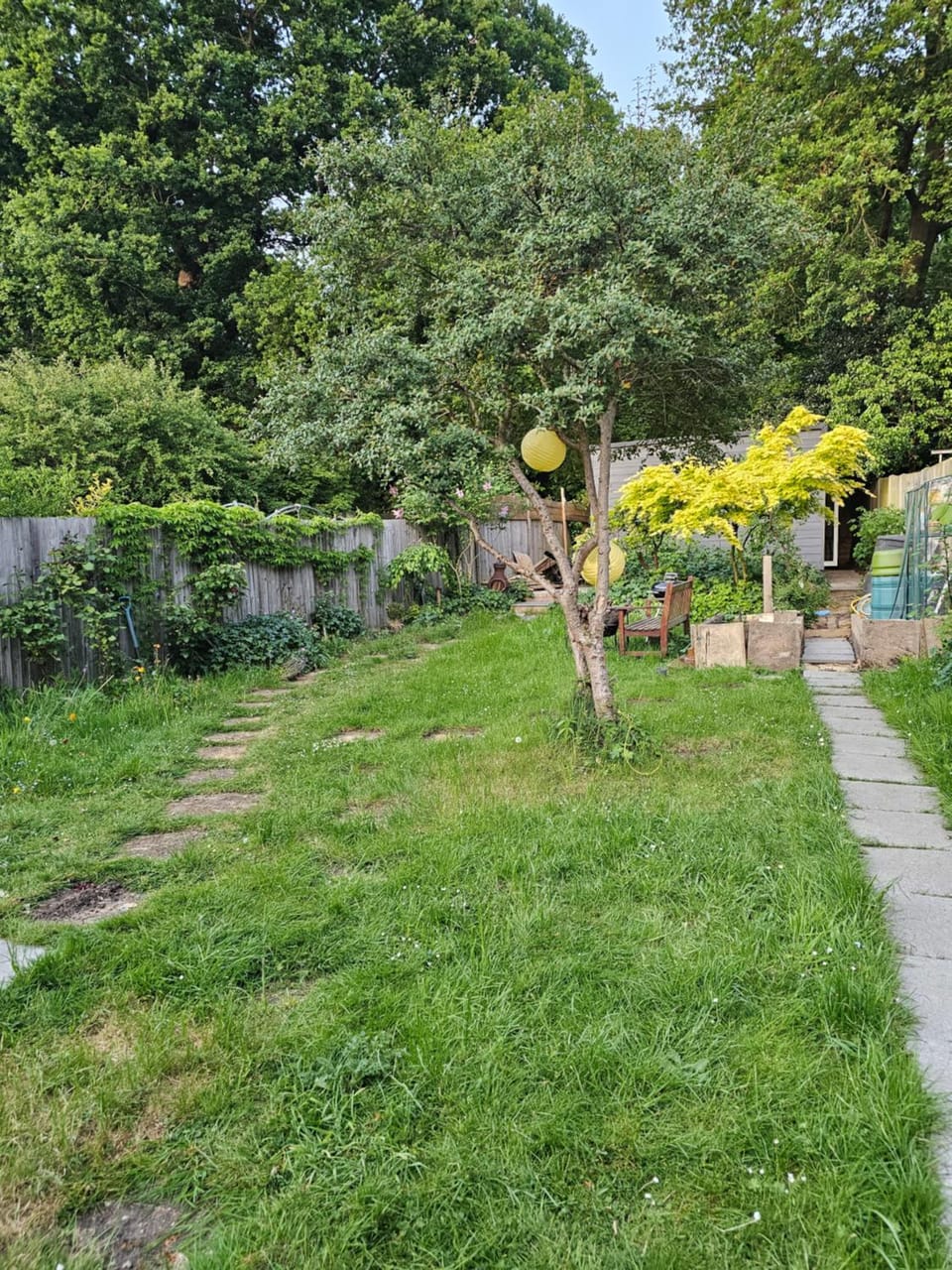 Garden view
