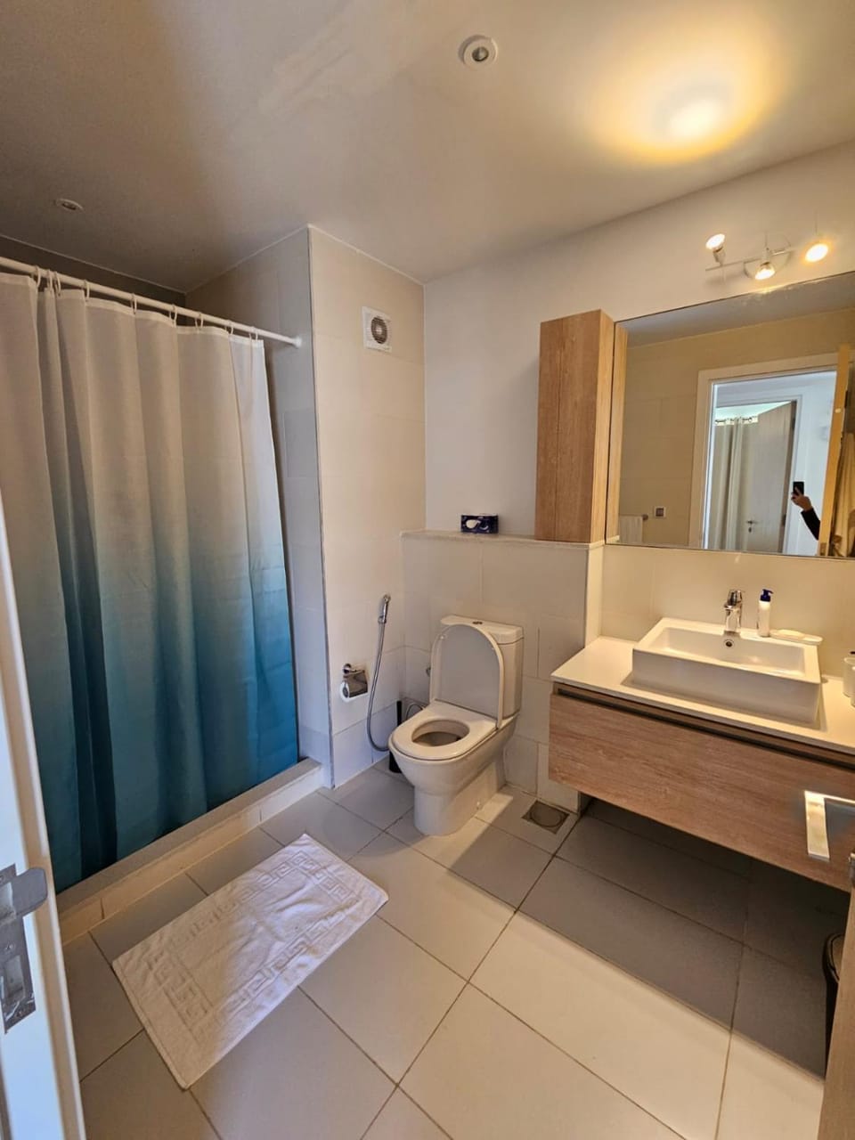 Shower, Toilet
